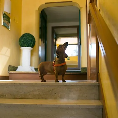 Rex 3* Genua